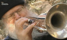 צילום: אורות