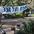 צילום: מוטי קמחי