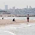צילום: ירון ברנר