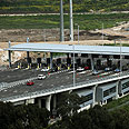 צילום: אבישג שאר-ישוב