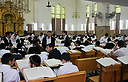 חרדים בישיבה (צילום: יואב פרידמן)