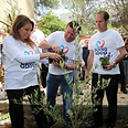 צילום: סיון פרג'