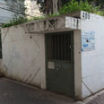 צילום: מוטי קמחי
