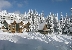 צילום: חנה יגר Big White