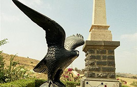 צילום: אלעד גונן