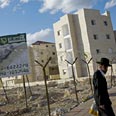 צילום: AFP