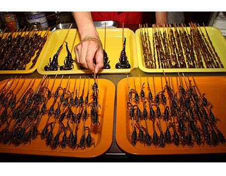 צילום: רון פלד