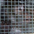  צילום: Animal Defenders International