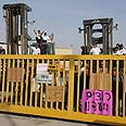 עובדי אקרשטיין צילום: הרצל יוסף