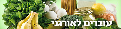 צילום: יוסי סליס