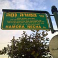 המורה נחה שלט (צילום: דליה זליקוביץ')