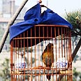 צילום: ויז'ואל/פוטוס