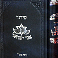 צילום: אור ישראל לוז