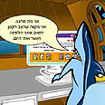 הכרישים מסתתרים ברשת 