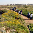 צילום: אבנר ירון