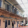 קציעות פליטים סודן דרפור גזר (צילום: תמר דרסלר)