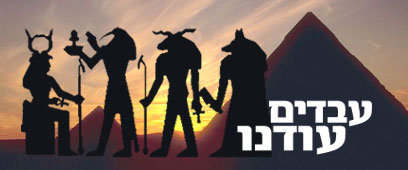 צילום: ויז'ואל/פוטוס