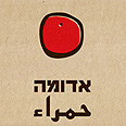 עטיפת הספר