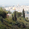 נוף ירושלים (צילום: מורן ראדה)