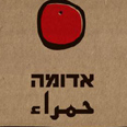 משוררי כל העולם התאחדו עטיפת הספר