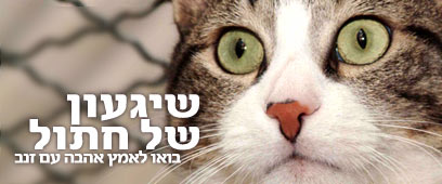 צילום באדיבות צער בעלי חיים ת"א