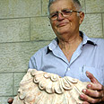 Ynet