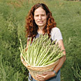 היישר מהירקניה של רוני 