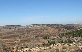 צילום: גילי סופר