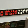 צילום: עומר הכהן
