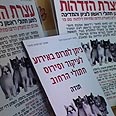 אתר קישטא. מאבק למען האכלת חתולי רחוב צילום: שי רוזנצוויג