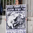 השלב השביעי: חומרי הסברה. להכין כרזות למדת? צילום: רוני ריבר