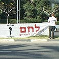 חיטוט בפחי אשפה. לח"ם צילום: שי רוזנצוויג