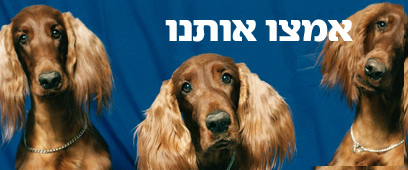 צילום: ויז'ואל/פוטוס