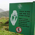 צילום: גילי סופר