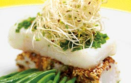 צילום: יונתן בלום