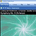 דברים שאפשר לעשות עם Windows Media Player 