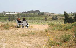 צילום: גילי סופר