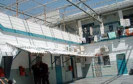 צילום: יפה רזיאל