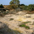 הגזים נפלטים ממי התהום לקרקע. ארכיון צילום: דרור עזרא, מפלגת הירוקים