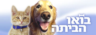 צילום: סי די בנק