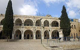 צילום: רון פלד