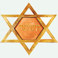 סמל ארגון השומר