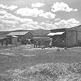 בית יוסף, 1939