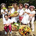 שבועות. זה חג! צילום: ג'ו קוט