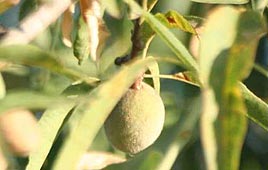 צילום: גילי סופר