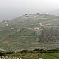 צילום: שאול גולן