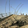 הריסות בעזה צילום: רויטרס