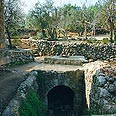 עין קאבו. בריכתו חבויה בתוך מבנה אבן דל מראה צילום: פיני חמו