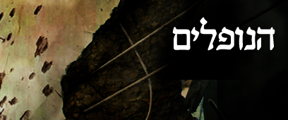 צילום: ירון ברנר