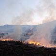 שרפות בגליל. כואב על כל עץ צילום: תומריקו